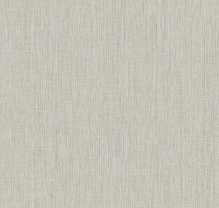 Alessandro Allori Giorgio RGI1002-9 для кухни для спальни для гостиной для коридора для кабинета для загородного дома для комнаты для прихожей серый светло-серый