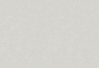 Обои виниловые на флизелиновой основе