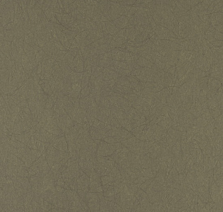 Bernardo Bartalucci Legend 5068-72 для спальни для гостиной для кабинета для загородного дома для комнаты для прихожей зеленый