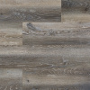 Storm Birch 12