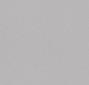 Cassanie Simply SP004 для кухни для спальни для гостиной для коридора для кабинета для загородного дома для комнаты для прихожей серый светло-серый