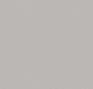 Cassanie Simply SP007 для кухни для спальни для гостиной для коридора для кабинета для загородного дома для комнаты для прихожей серый светло-серый