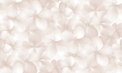 Обои виниловые на флизелиновой основе