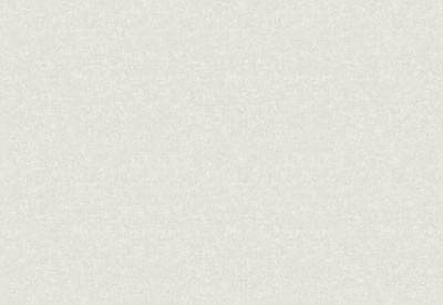 Обои виниловые на флизелиновой основе