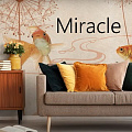 Miracle