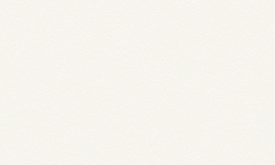 Обои виниловые на флизелиновой основе