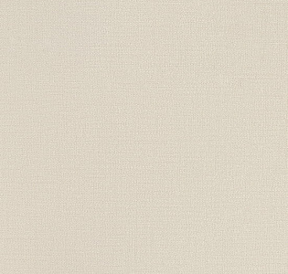 Andrea Rossi Spectrum Plus 54353-23 для кухни для спальни для гостиной для коридора для кабинета для загородного дома для комнаты для прихожей белый светло-серый