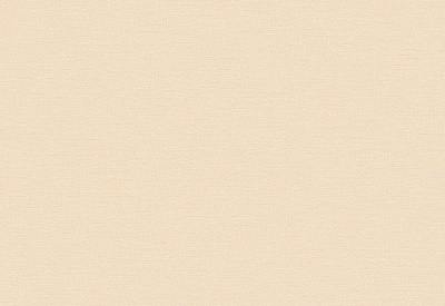 Обои виниловые на флизелиновой основе