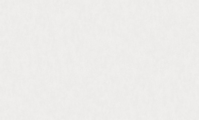 Обои виниловые на флизелиновой основе