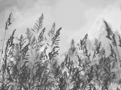 Фреска, бесшовные обои, шовные фотообои. Текстура на выбор