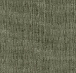 Rasch Kimono 407945 для кухни для спальни для гостиной для коридора для кабинета для загородного дома для комнаты для прихожей зеленый