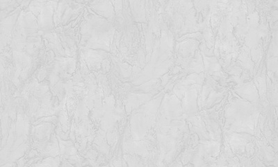 Обои виниловые на флизелиновой основе