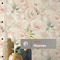 Peonies