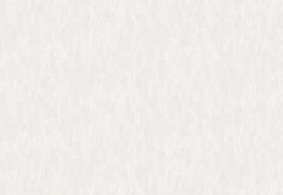 Обои виниловые на флизелиновой основе