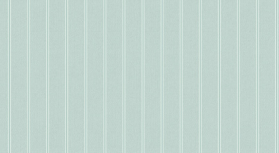 Обои виниловые на флизелиновой основе