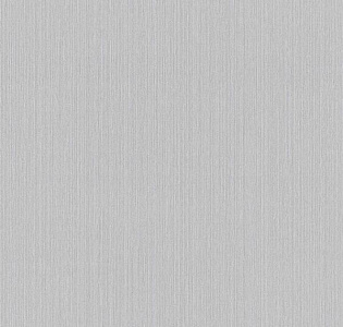 BN International Finesse 17728 для кухни для спальни для гостиной для коридора для кабинета для загородного дома для комнаты для прихожей серый светло-серый