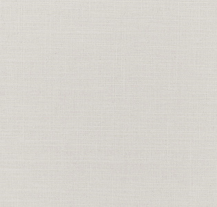 Erismann Amazonika 60465-10 для кухни для спальни для гостиной для коридора для кабинета для загородного дома для комнаты для прихожей серый светло-серый
