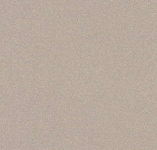 A.S. Creation New Elegance 37555-2 для кухни для спальни для гостиной для коридора для кабинета для загородного дома для комнаты для прихожей бежевый капучино