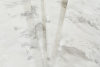 10976-01