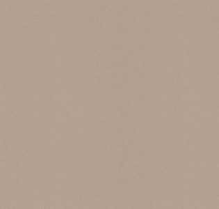 BN International Tailor 2 4249361 для кухни для спальни для гостиной для коридора для кабинета для загородного дома для комнаты для прихожей коричневый