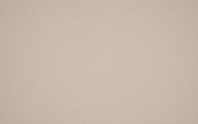 Обои виниловые на флизелиновой основе