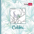 Colibri