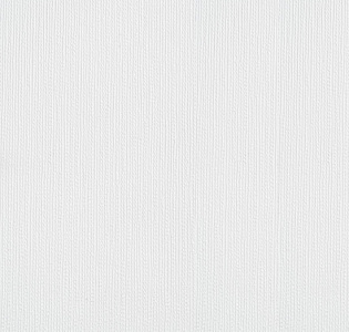 NC Antivandal AntiVandal NC Color 4025-030 для кухни для спальни для гостиной для коридора для кабинета для загородного дома для комнаты для прихожей белый