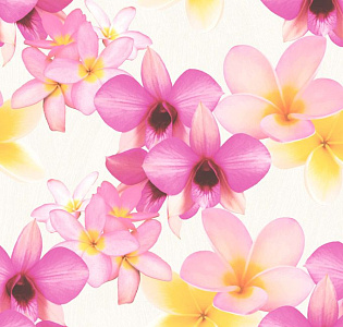 Decoprint Paradisio PA16831 для спальни для гостиной для загородного дома для комнаты розовый