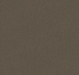 AdaWall Alfa 3719-7 для кухни для спальни для гостиной для коридора для кабинета для загородного дома для комнаты для прихожей коричневый