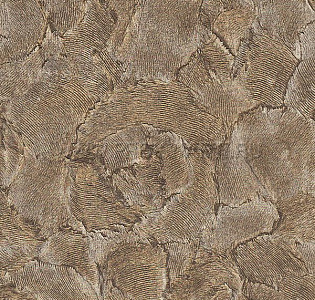 Emiliana Parati Roberto Cavalli Home 3 14090 для кухни для гостиной для кабинета для комнаты коричневый