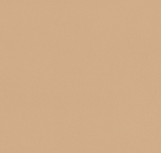 Cassanie Simply SP040 для кухни для спальни для гостиной для коридора для кабинета для загородного дома для комнаты для прихожей оранжевый