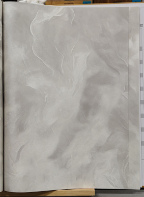 Обои виниловые на флизелиновой основе