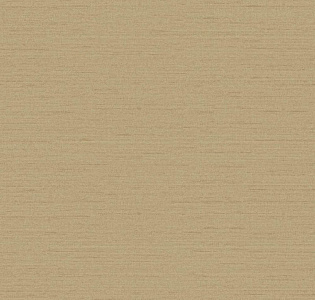 York Texture Portfolio FD8423 для кабинета для загородного дома для комнаты для прихожей коричневый