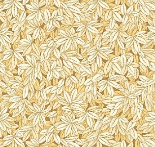 Andrea Rossi Barbana 54295-3 для кухни для спальни для гостиной для загородного дома для комнаты желтый