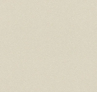 Rasch Berlin Rasch 530223 для кухни для спальни для гостиной для коридора для кабинета для загородного дома для комнаты для прихожей бежевый