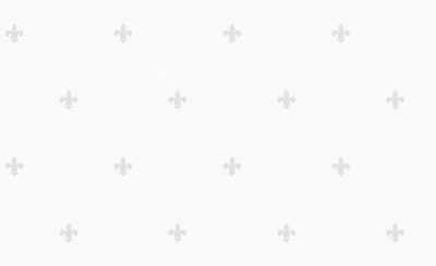 Обои виниловые на флизелиновой основе