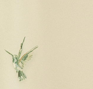 Andrea Rossi Spectrum Plus 54356-4 для спальни для гостиной для коридора для загородного дома для комнаты белый зеленый разноцветный