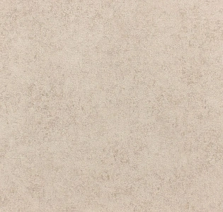 Rasch Vincenza 467154 для кухни для коридора для кабинета для загородного дома для комнаты для прихожей бежевый