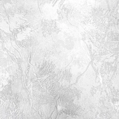 Обои виниловые на флизелиновой основе