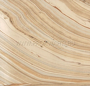 York Candiсe Olson Modern Nature CZ2403 для кабинета для загородного дома для комнаты для прихожей золотой