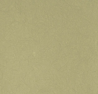 Bernardo Bartalucci Legend 5068-45 для спальни для гостиной для кабинета для загородного дома для комнаты для прихожей фисташковый