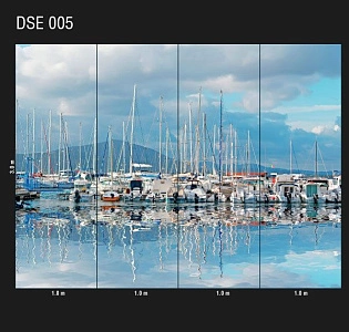 Loymina Иллюзия (Illusion vol.1) DSE 005