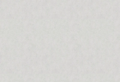 Обои виниловые на флизелиновой основе