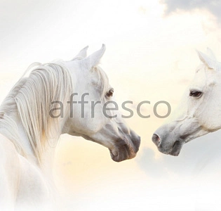 Affresco Фрески и фотообои ID12321