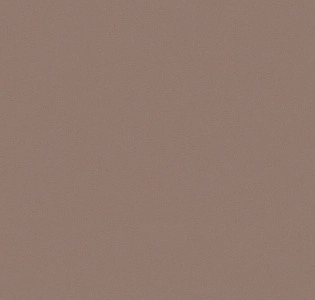 A.S. Creation Elite Of Shades 78653-8 для кухни для спальни для гостиной для коридора для кабинета для загородного дома для комнаты для прихожей коричневый капучино