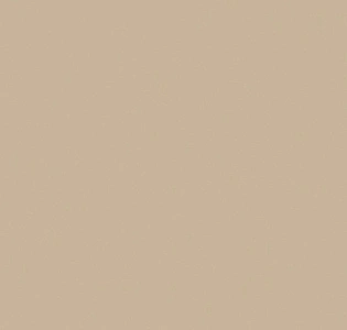 CoDe Co.De 01 бесшовный шёлк на флизелине P1903 RW для спальни для гостиной для кабинета для загородного дома для комнаты для прихожей бежевый