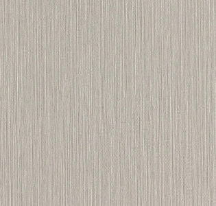 Rasch Metal Spirit 977257 для кухни для спальни для гостиной для коридора для кабинета для загородного дома для комнаты для прихожей серый светло-серый