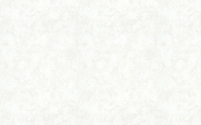 Обои виниловые на флизелиновой основе