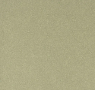 Bernardo Bartalucci Legend 5068-51 для спальни для гостиной для кабинета для загородного дома для комнаты для прихожей зеленый