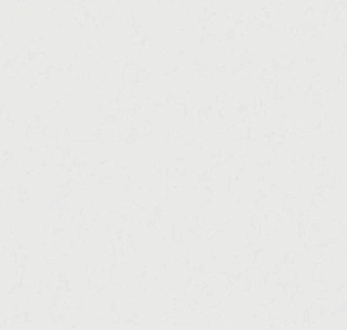 Grandeco Flora R117013 для кухни для коридора для кабинета для загородного дома для комнаты для прихожей белый светло-серый